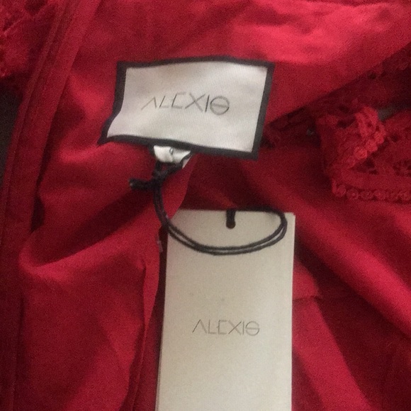 Stunning Alexis S deep red lace dress new - Picture 14 of 14